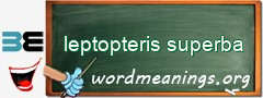 WordMeaning blackboard for leptopteris superba